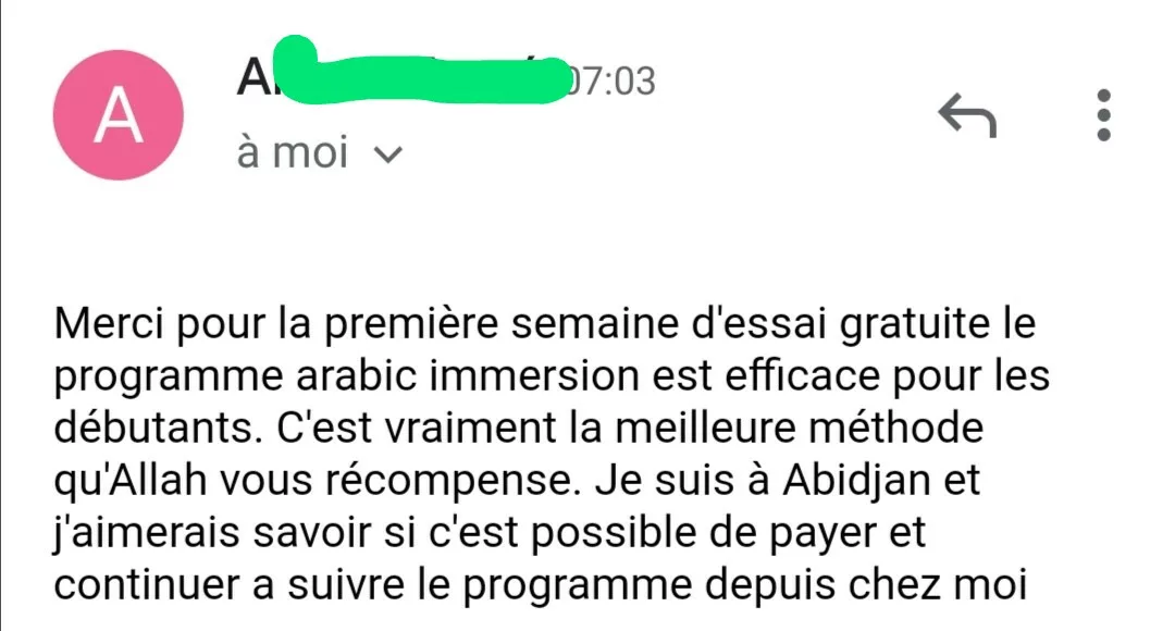 Arabic Immersion