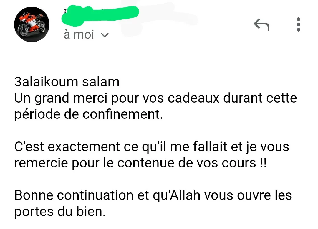 Arabic Immersion