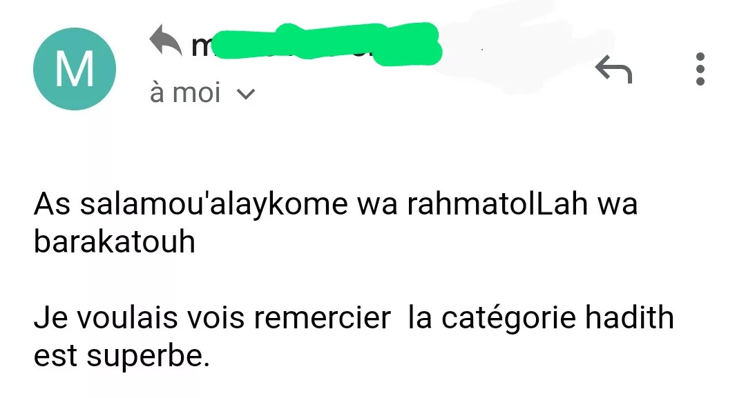 Arabic Immersion