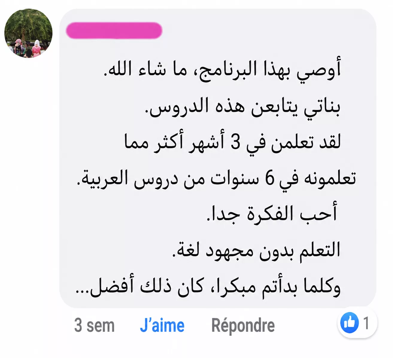 Arabic Immersion