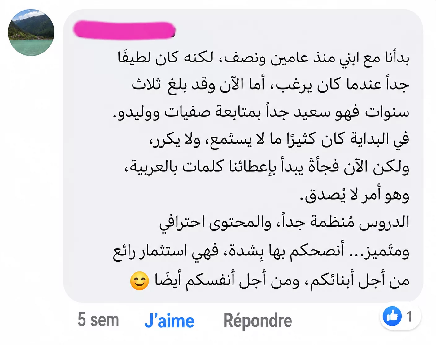 Arabic Immersion
