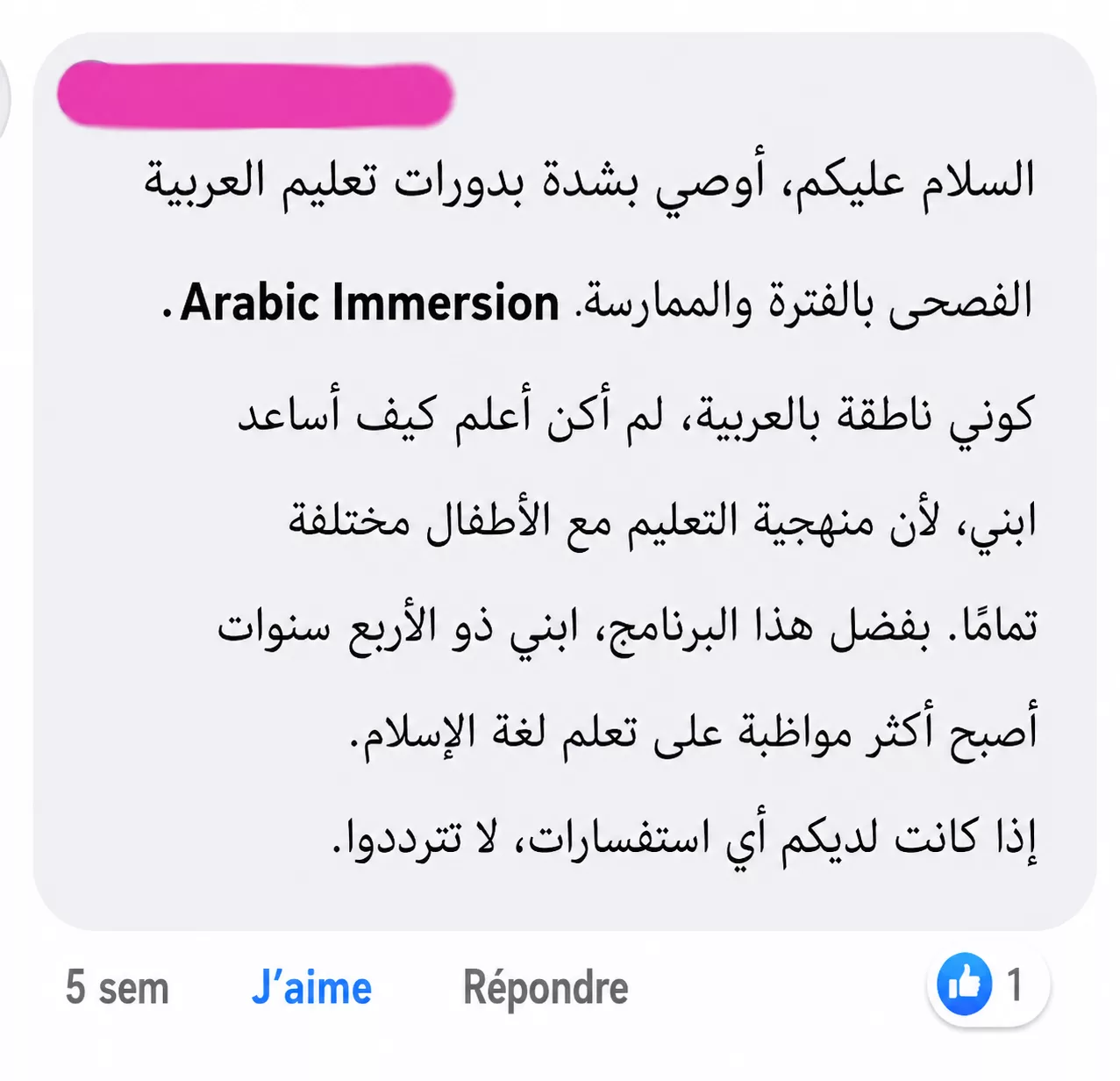 Arabic Immersion