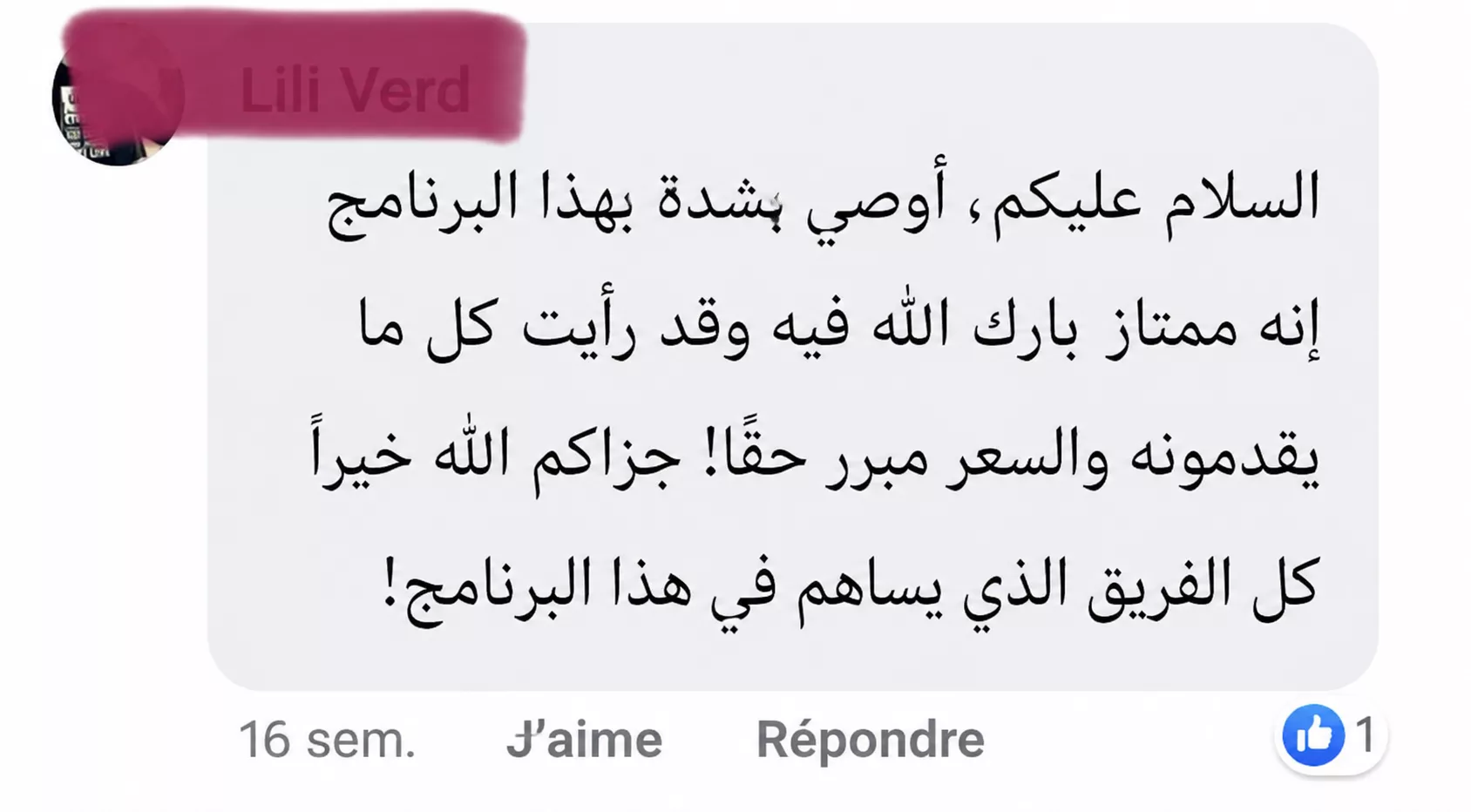 Arabic Immersion